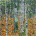 Birch Forest 4x4