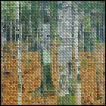 Birch Forest 4x4 - Click Image to Close