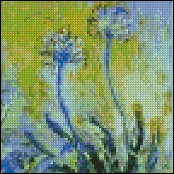 Agapanthus 2 4x4 - Click Image to Close