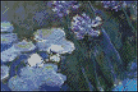 Waterlilies and Agapanthus 4x6 - Click Image to Close