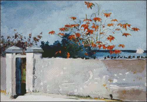 A Wall, Nassau - Click Image to Close