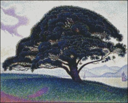 The Bonaventure Pine - Click Image to Close