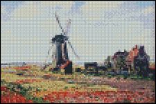 Tulip Fields With The Rijnsburg Windmill 4x6