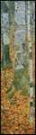 Birch Forest Bookmark