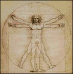 Vitruvian Man Petite Patttern