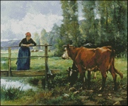 Pasture