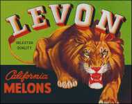 Levon Melons