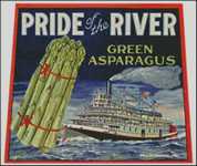 Pride of the River Asparagus