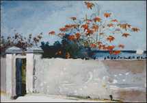 A Wall, Nassau