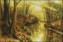 A Woodland Stream