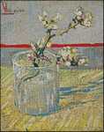 Sprig of Flowering Almond In Glass