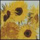Sunflowers 4x4