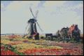 Tulip Fields With The Rijnsburg Windmill 4x6