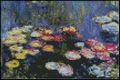 Waterlilies 4 4x6