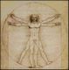 Vitruvian Man Petite Patttern