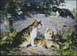 Mother Cat with Three Boys Mother Cat with Three Boys
