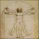 Vitruvian Man 2