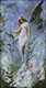 Lily Fairy Lily Fairy