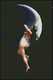 Moon Nymph Moon Nymph