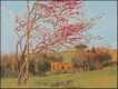 Blossoming Red Almond Blossoming Red Almond