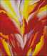 Red Canna Poster