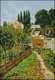 Garden Path in Louveciennes