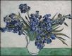 (image for) Irises